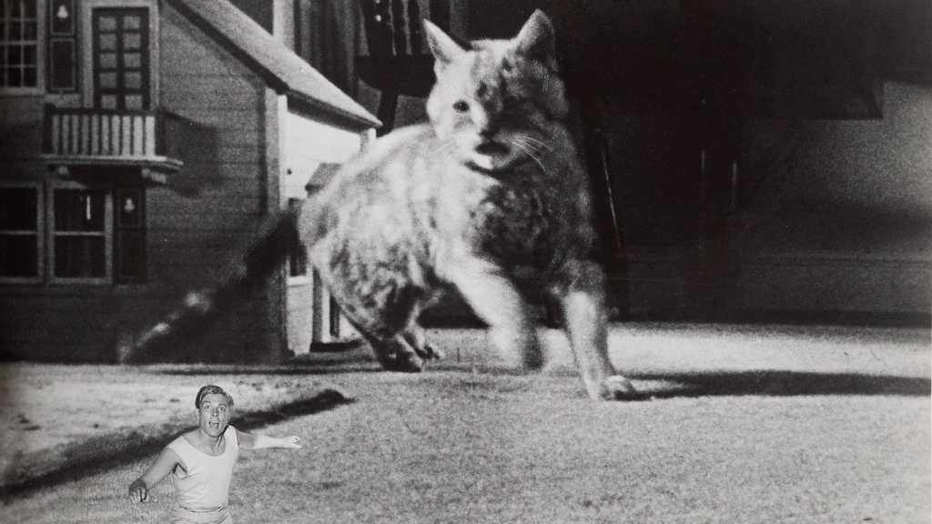 THE INCREDIBLE SHRINKING MAN, un film di Jack&nbsp;Arnold