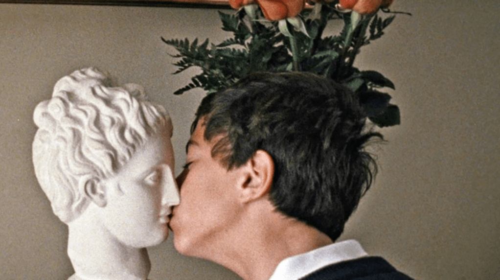 The Metamorphosis of Birds, un film di Catarina&nbsp;Vasconcelos